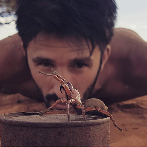 Andrew Ucles observing inspect